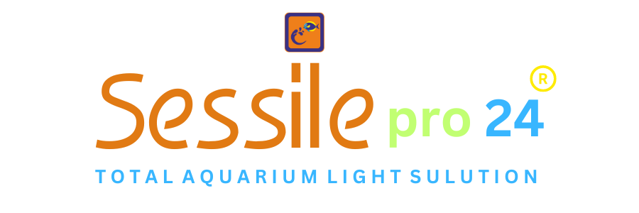 logo 7