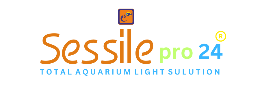 logo 8