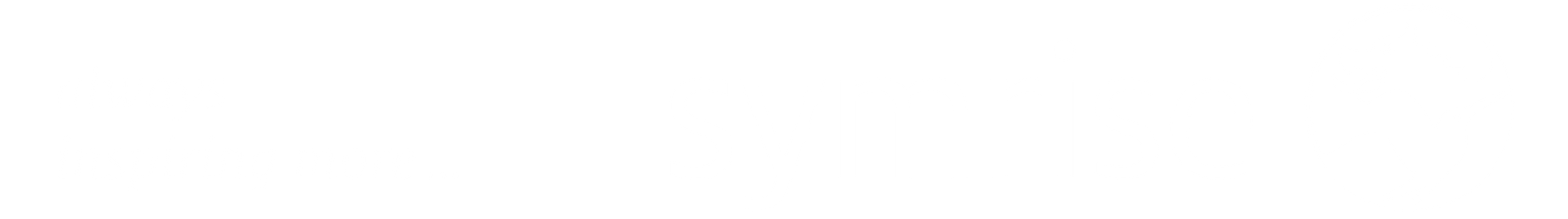 logo 6