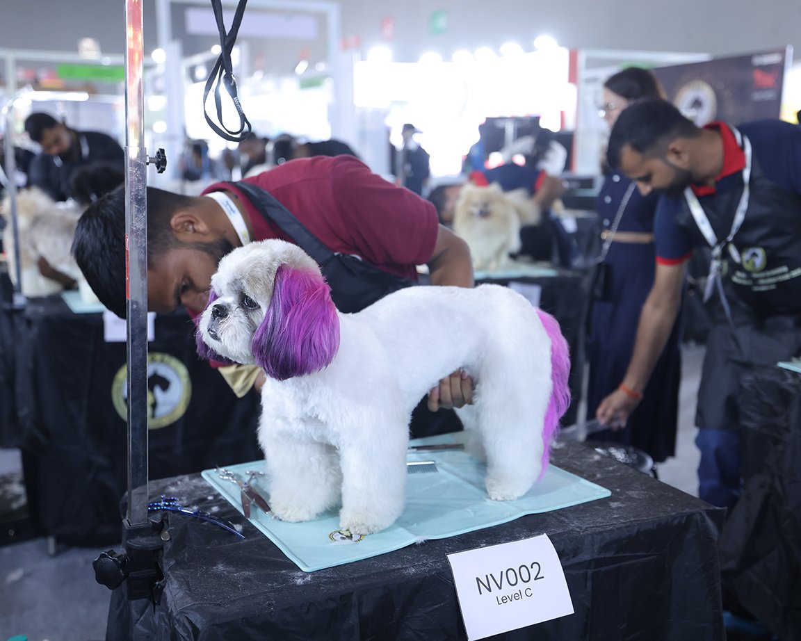 Pet Wellness