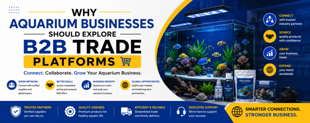 Why Aquarium Businesses Should Explore B2B Trade Platforms